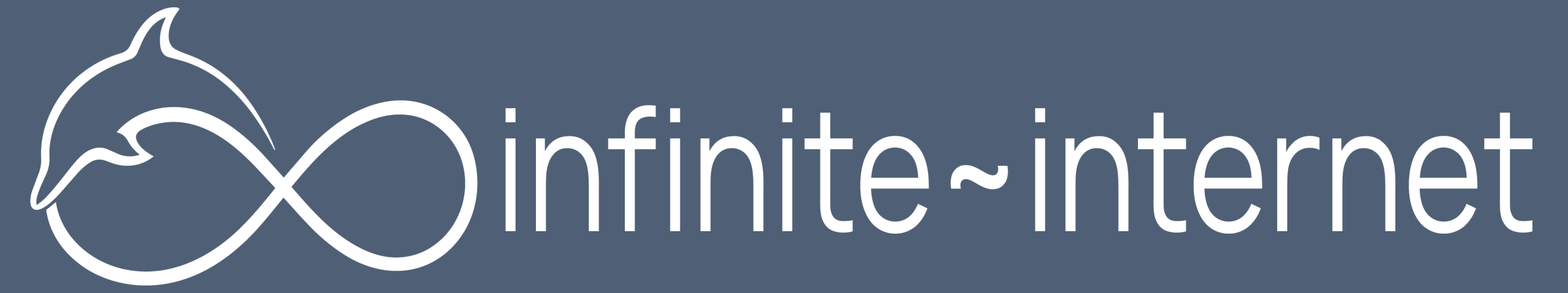 infinite~internet